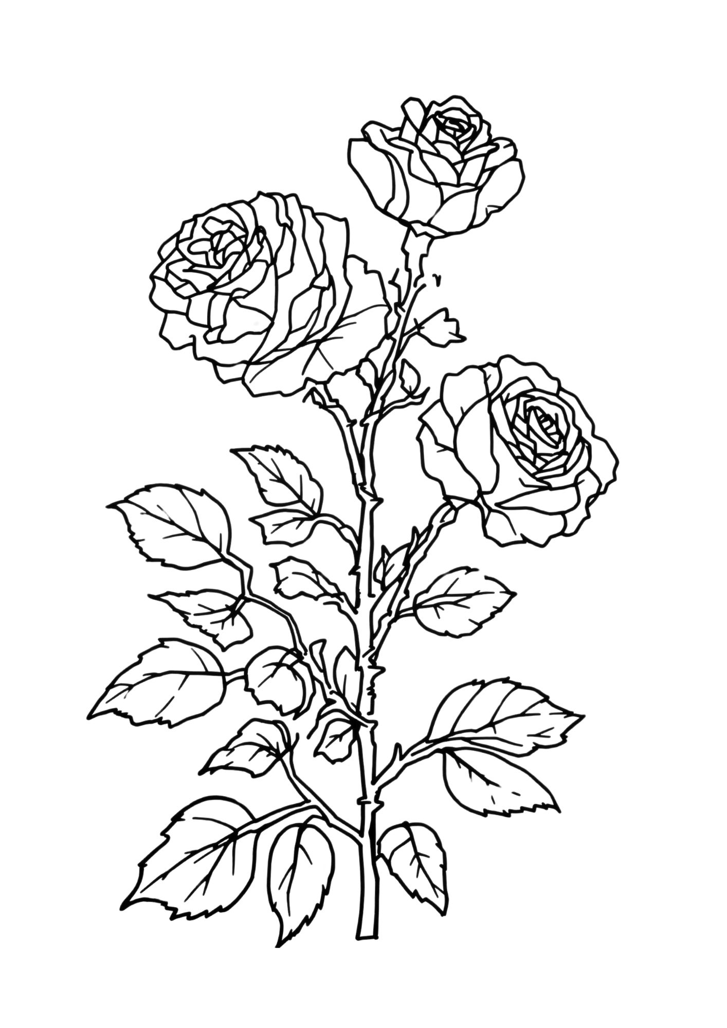 Flower Coloring Page 11