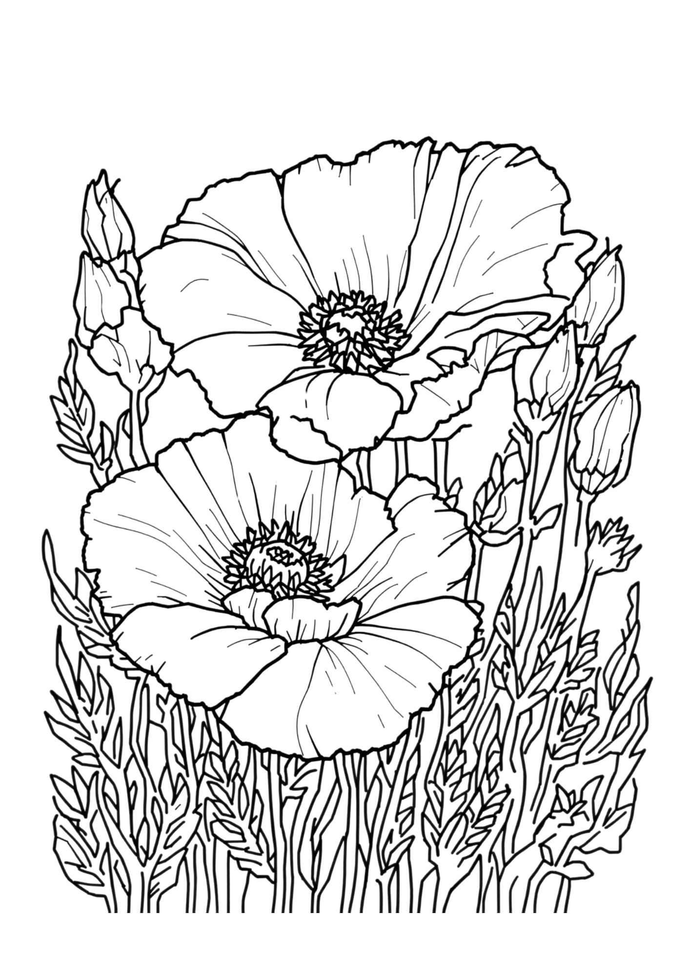 Flower Coloring Page 12