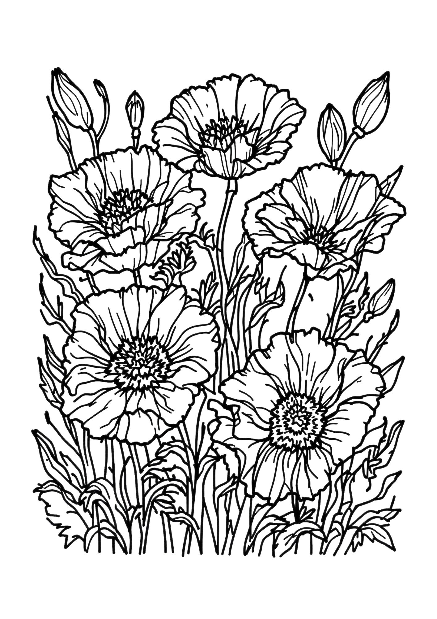 Flower Coloring Page 17