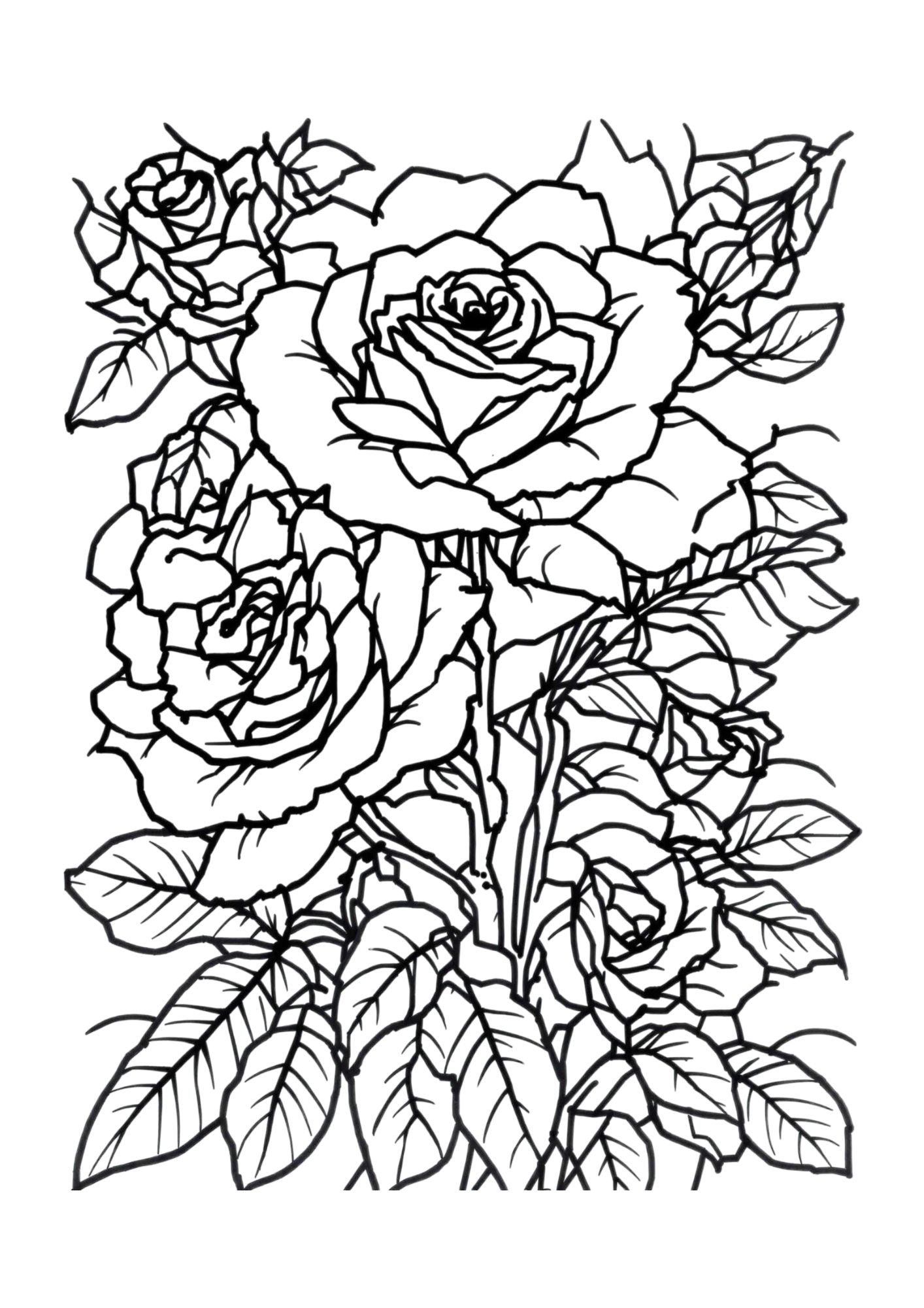 Flower Coloring Page 21