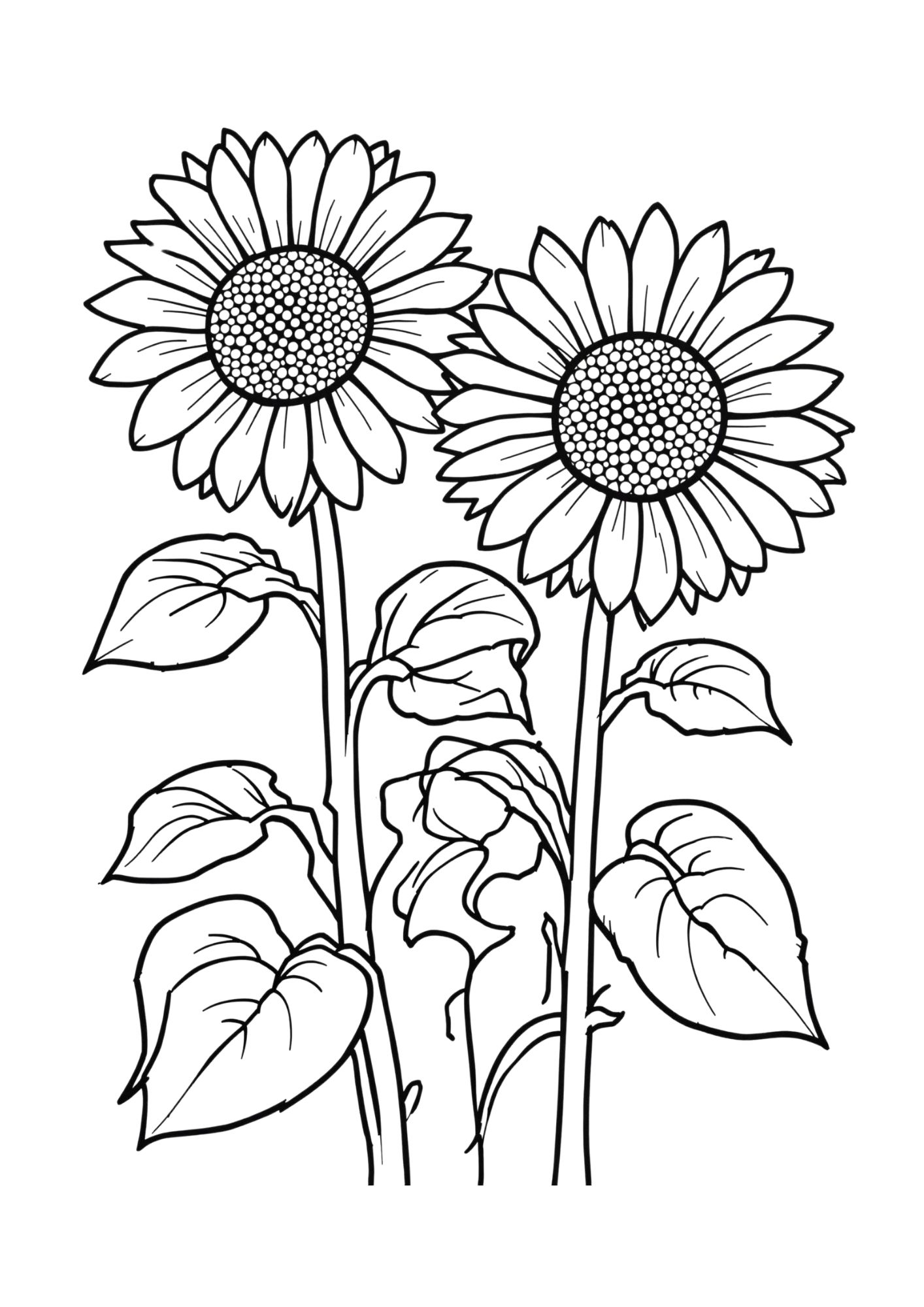 Flower Coloring Page 22