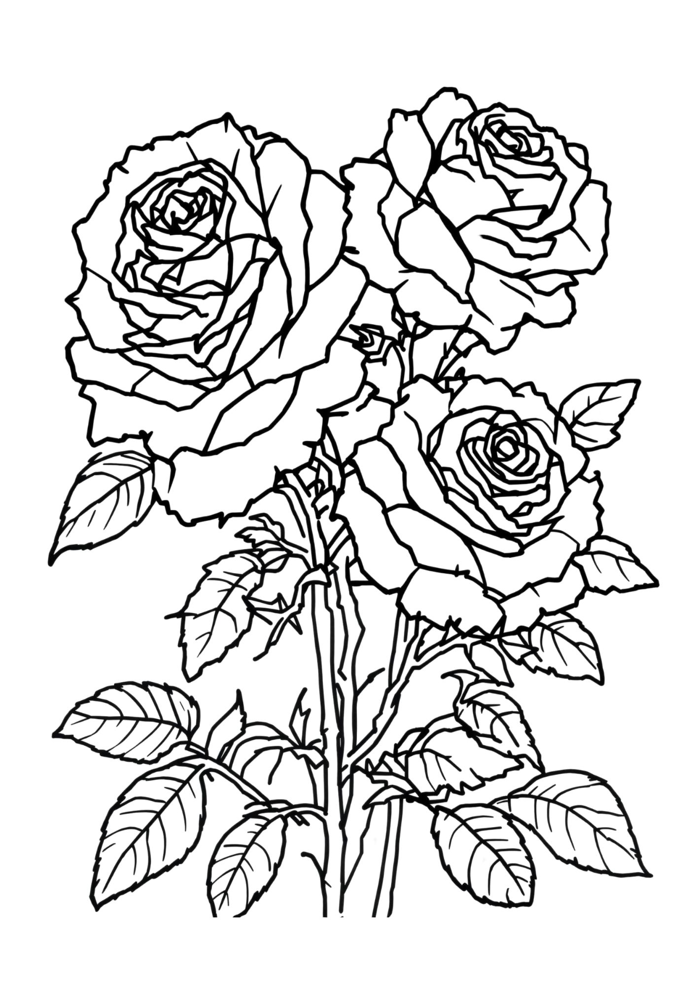 Flower Coloring Page 24