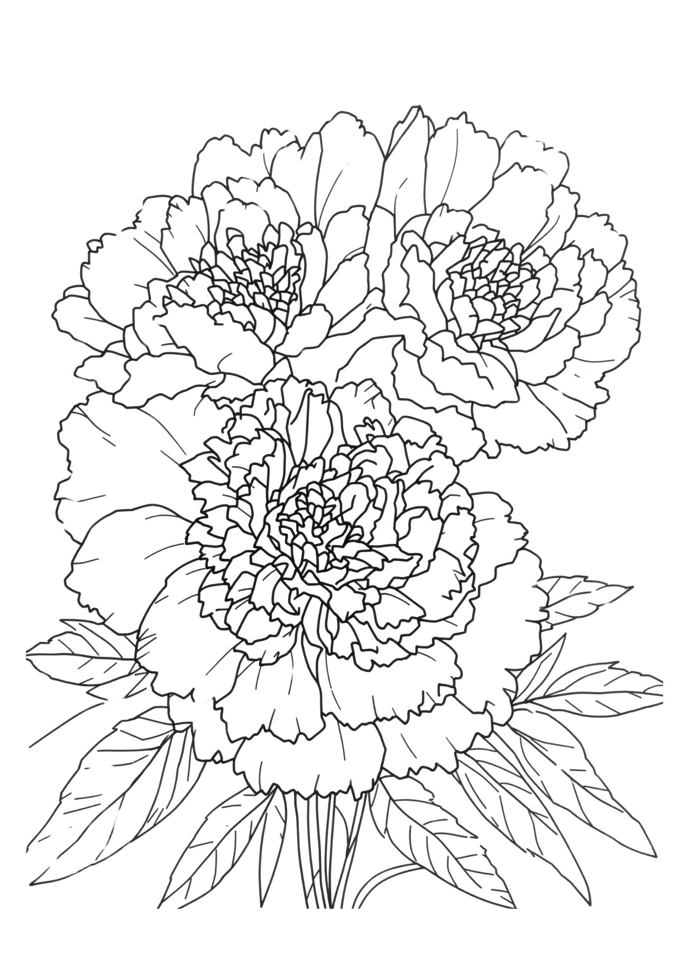 Flower Coloring Page 3