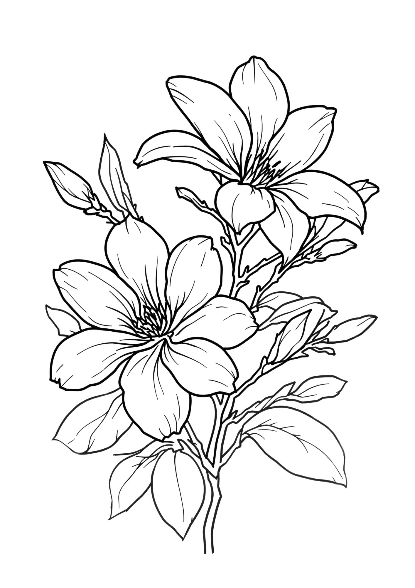 Flower Coloring Page 5