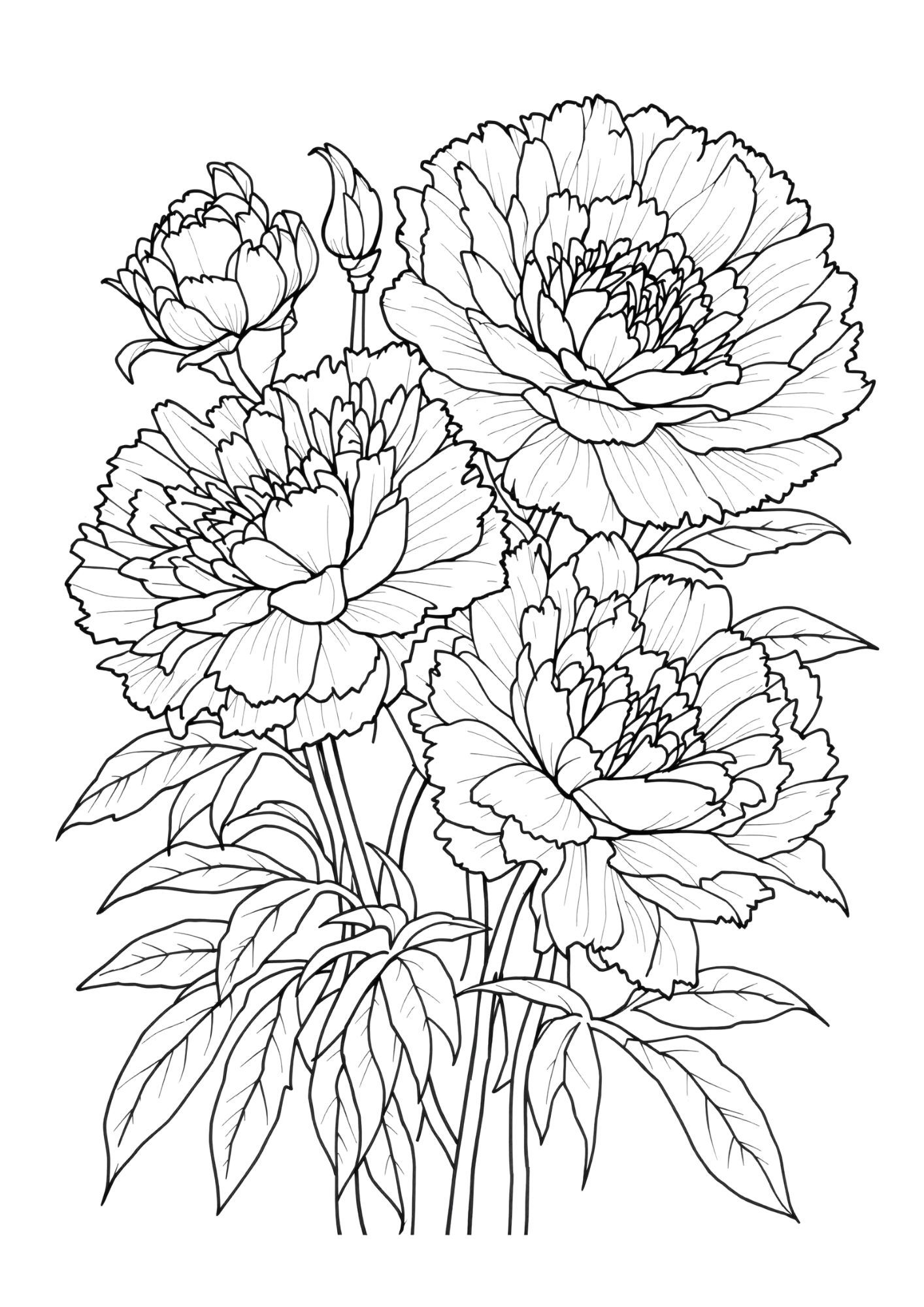 Flower Coloring Page 6