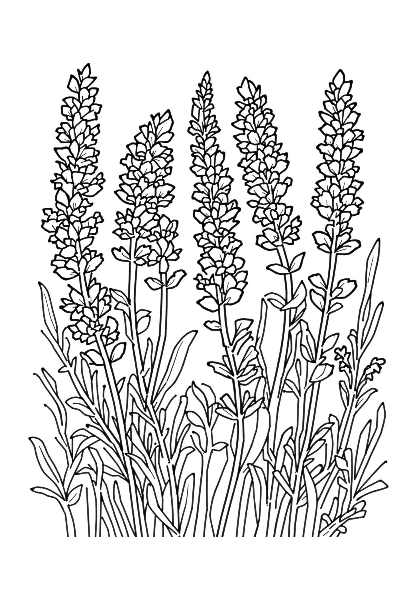 Flower Coloring Page 7