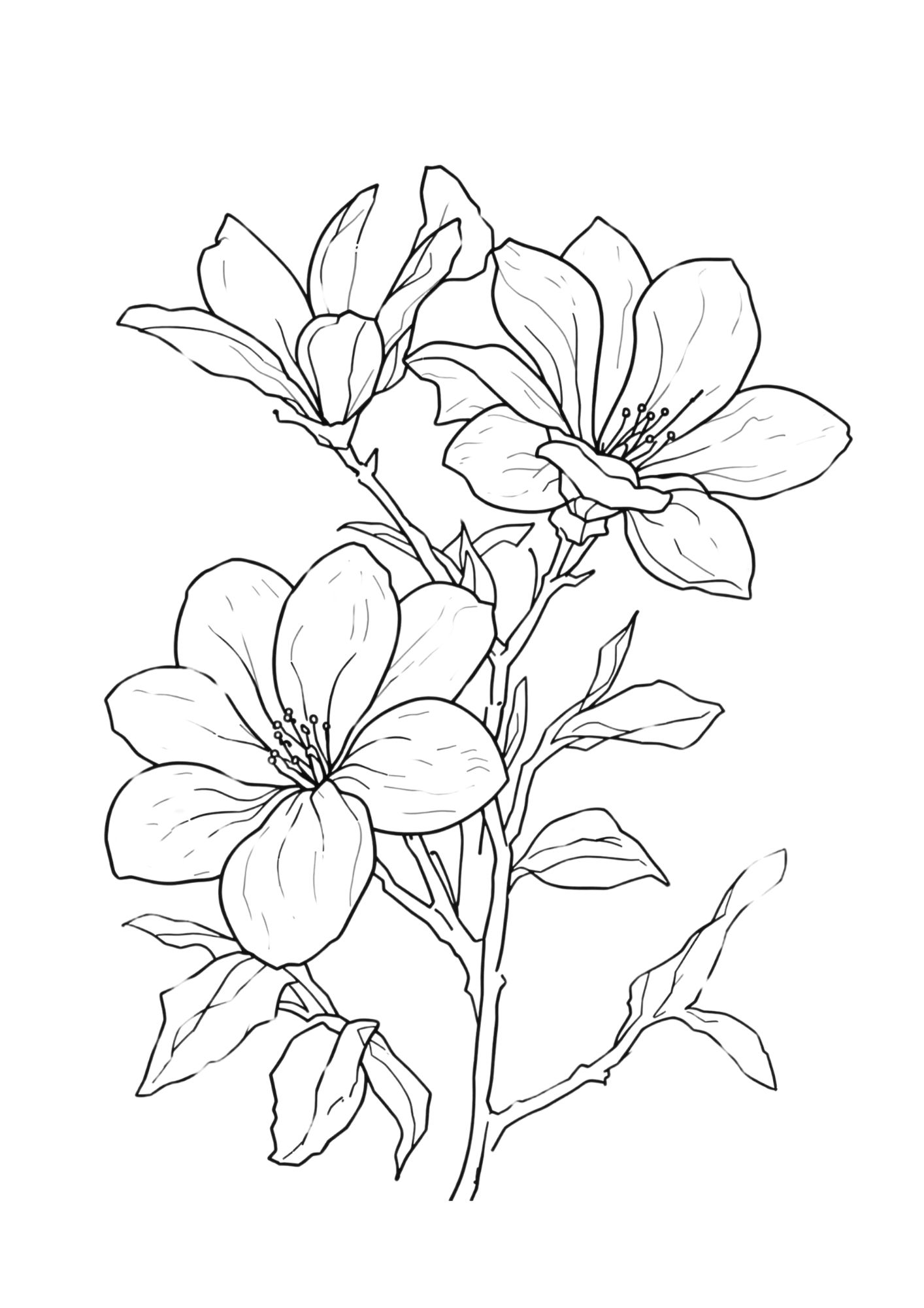 Flower Coloring Page 9